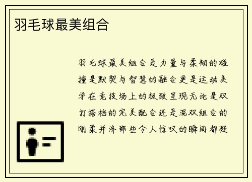 羽毛球最美组合