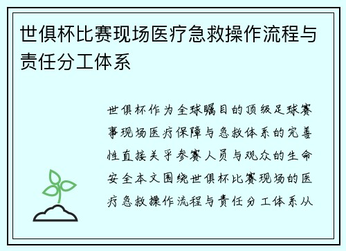 世俱杯比赛现场医疗急救操作流程与责任分工体系